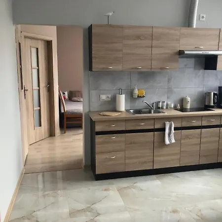 Апартаменты Roza